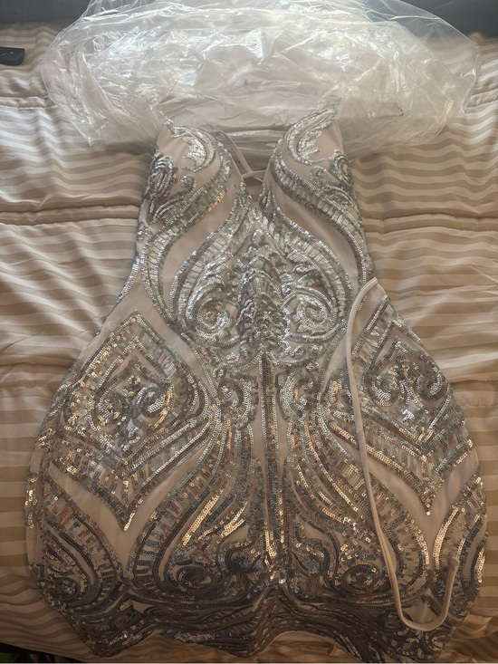 Windsor Dresses & Skirts - Windsor Strapless Silver Sequin Embellished Dress